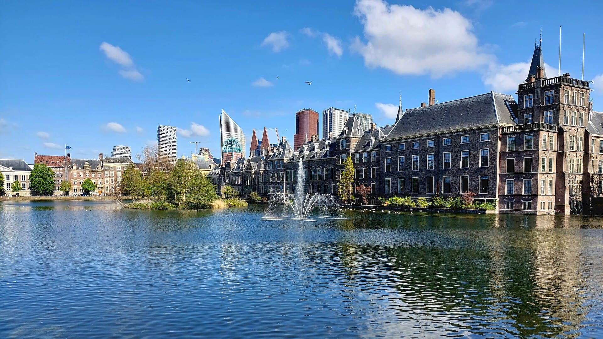 The Hague
