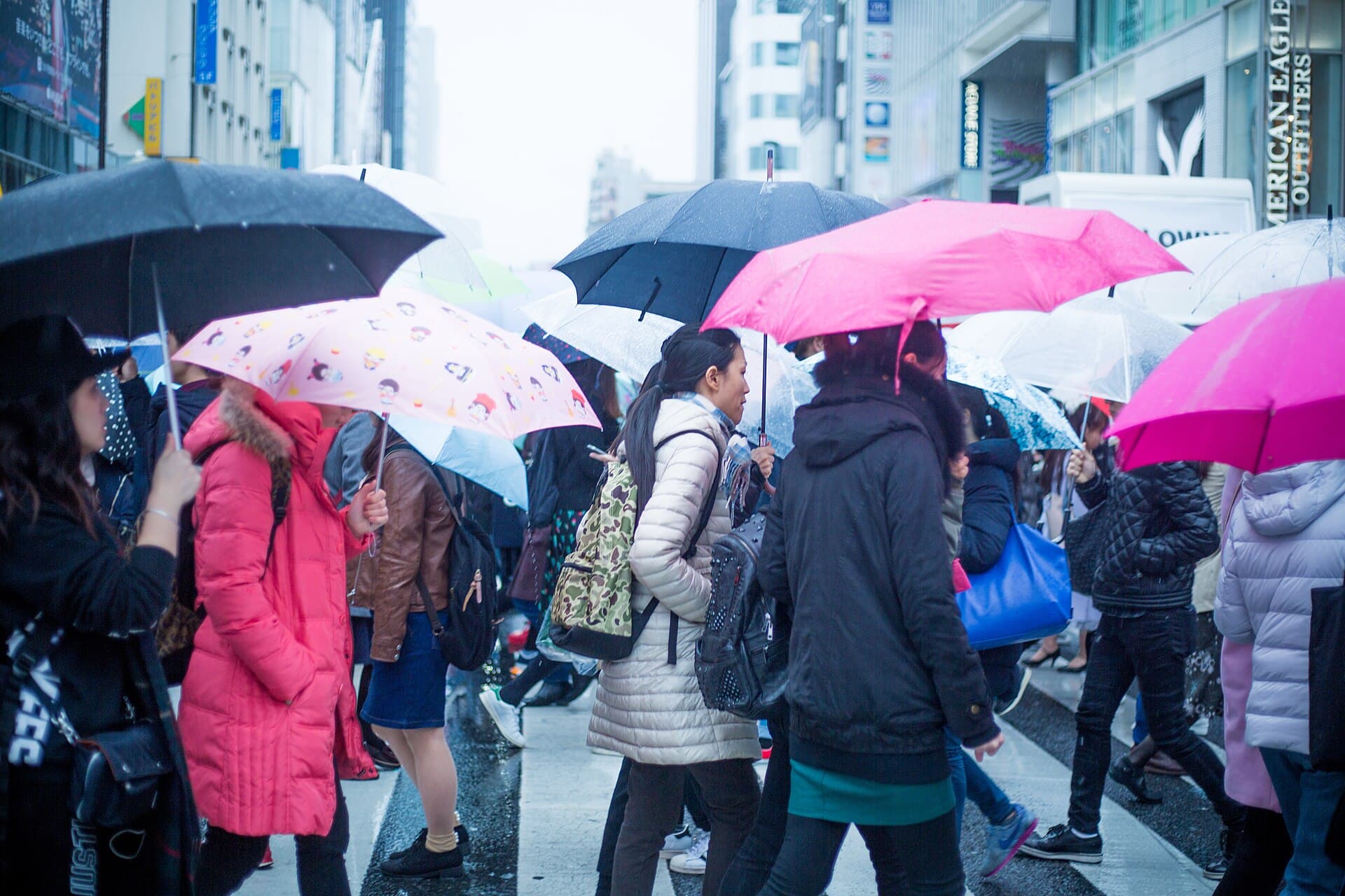 Life at street level