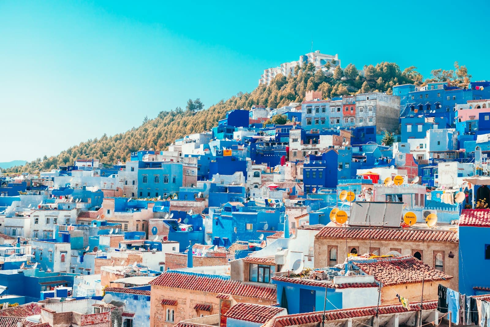 Blue-washed houses climbing a pine-covered hillside in Chefchaouen, Morocco