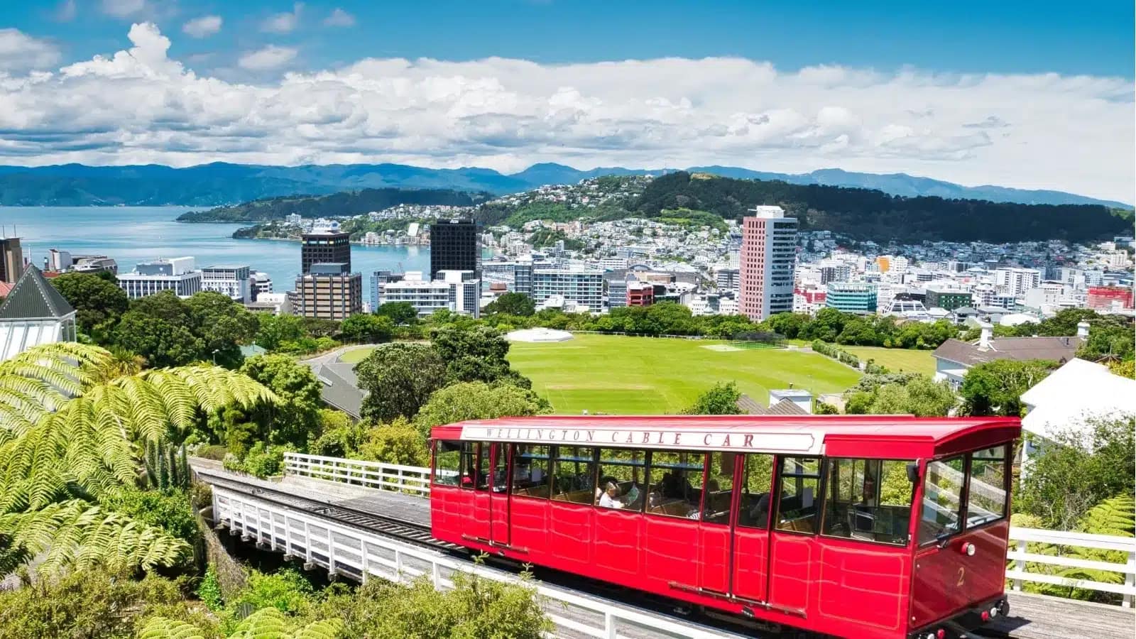Wellington