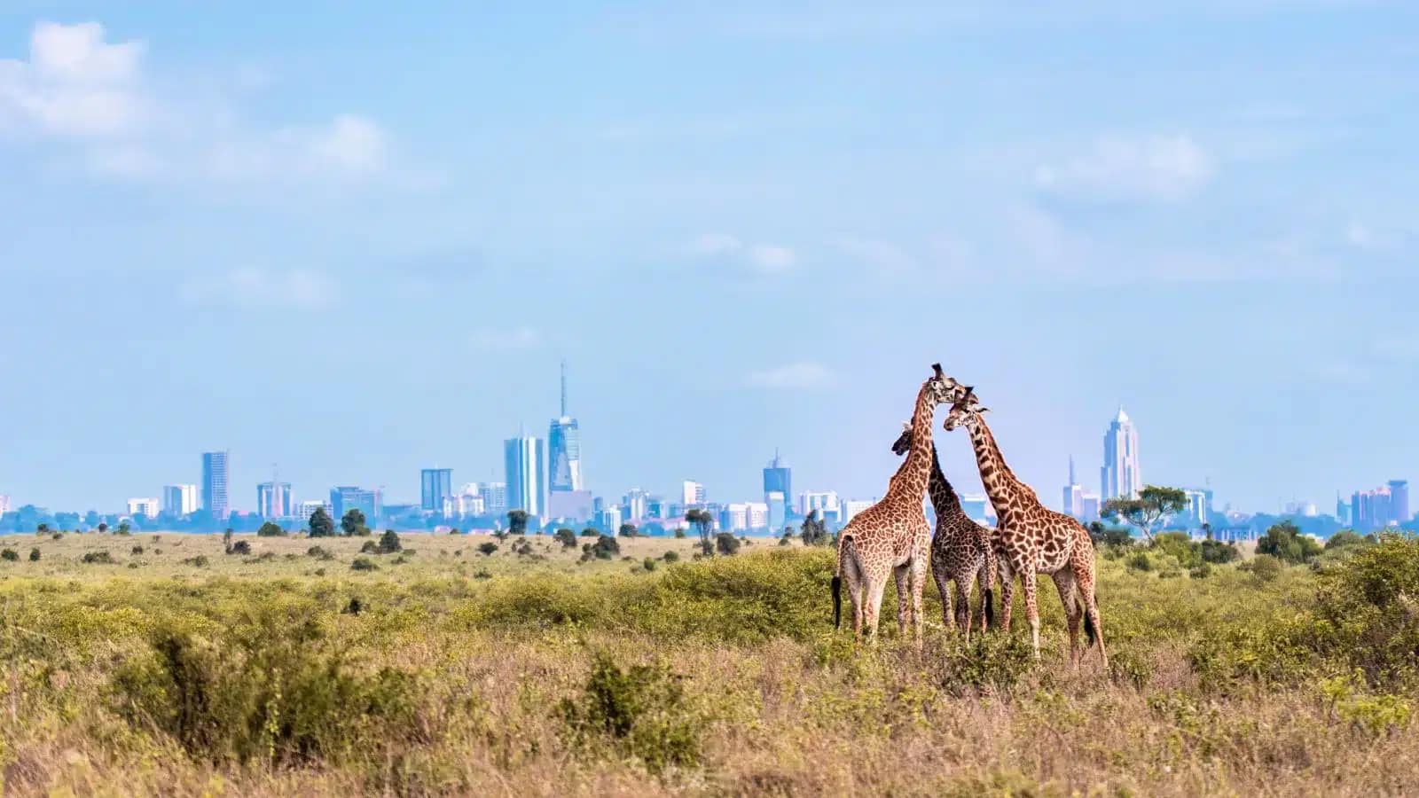 Kenya's Class N permit: live in Nairobi, keep your U.S. paycheck