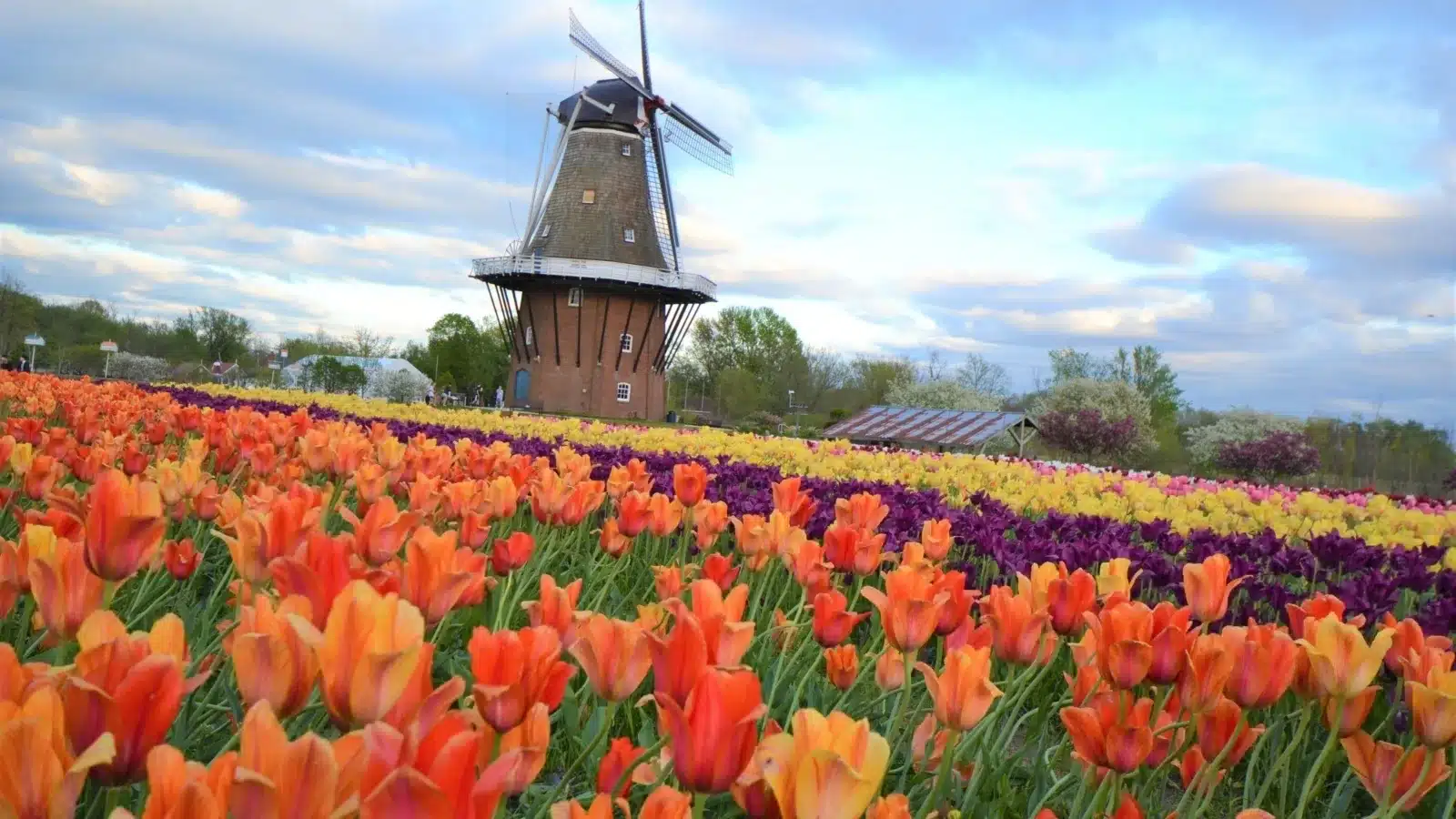 Before you move, see the Netherlands like a future resident.
