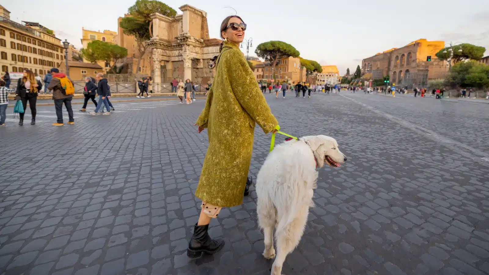 Moving Pets Overseas: What Americans Need to Know Before They Go