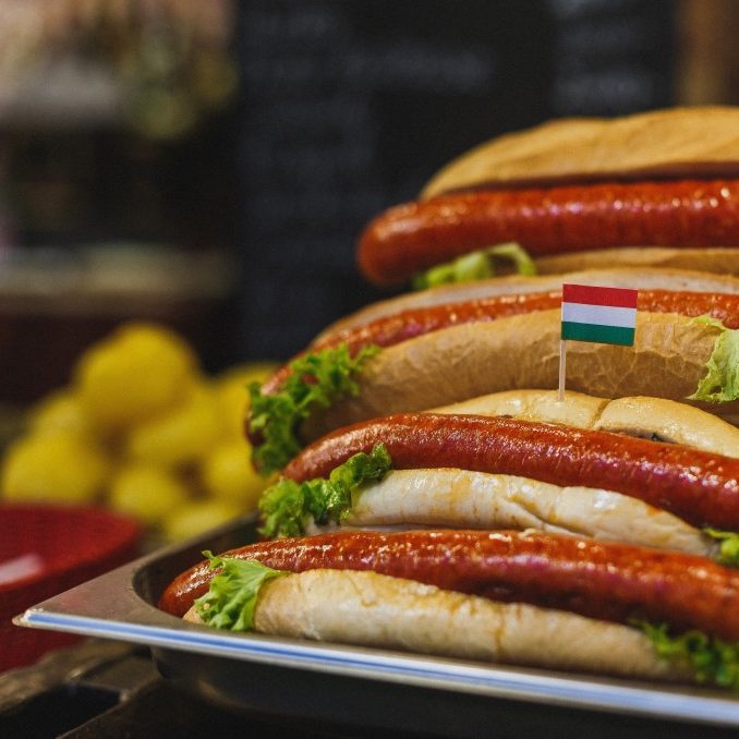hungary meat-food-beef-hungarian-meal-dinner-traditional-hot-lunch-budapest-eating-goulash-ham-pork-pot-soup_t20_GJpkoe