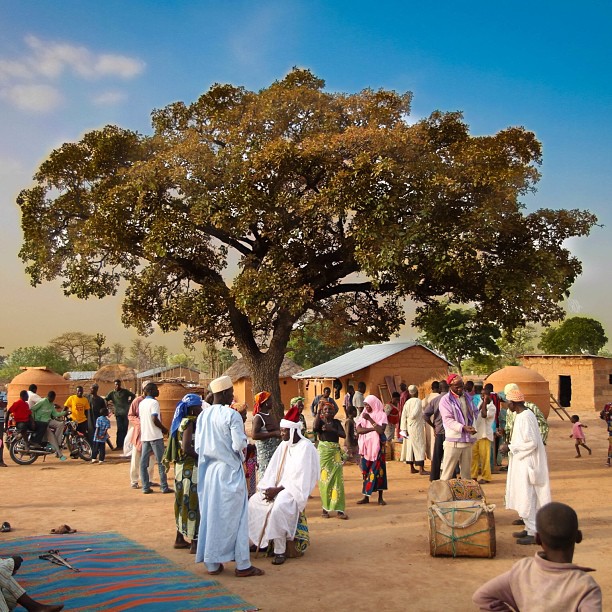 the-villagers-of-dogongada-nigeria-and-the-surrounding-villages-all-came-together-to-celebrate-the_t20_rzK70X