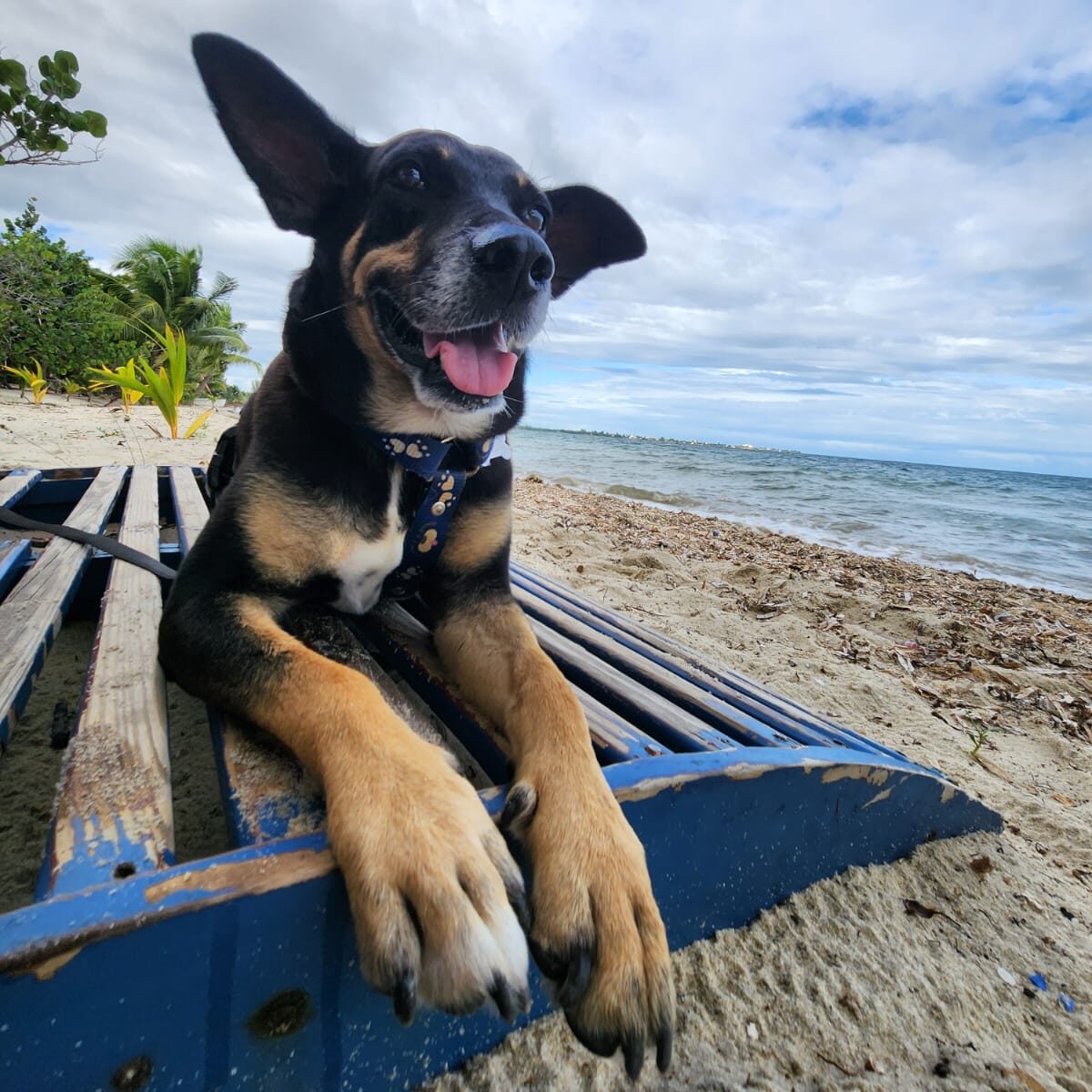Vikram Hirshberg Belize Beach