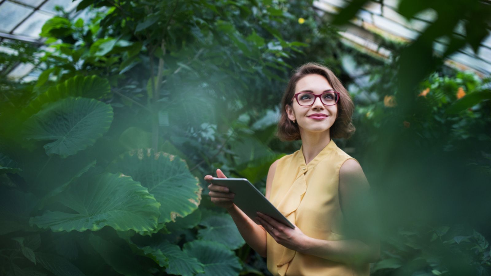 A woman studying the environment.